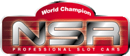 nsr logo 2